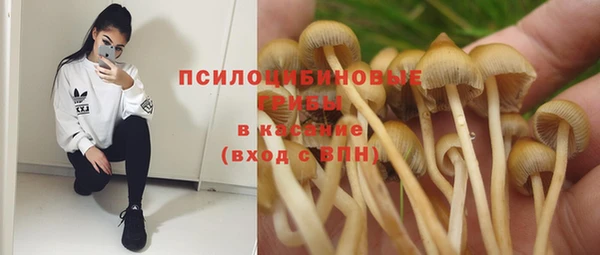 mix Алексин