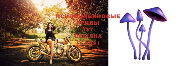 герыч Алзамай